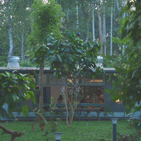 Malhar - Your Home Beneath The Clouds สุลต่านบาเทรี ภายนอก รูปภาพ